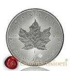 Zilver Maple Leaf 1 troy ounce 999,9 puur zilveren munt, Ophalen of Verzenden, Noord-Amerika, Losse munt, Zilver
