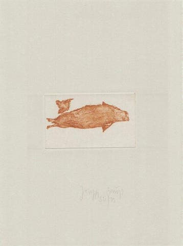 Joseph Beuys (1921-1986) - Sea Angel Seal III