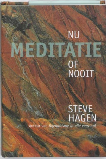 Meditatie nu of nooit - Steve Hagen 9789069638188, Verzenden, Gelezen, Steve Hagen