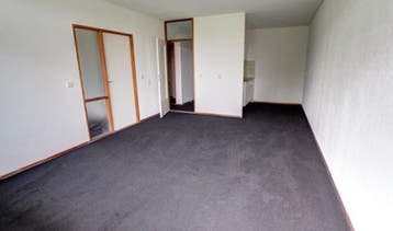 Te Huur 2 Kamer Appartement Cuyleborg In Maastricht, Direct bij eigenaar, Limburg, Maastricht, Appartement