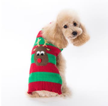 Honden Kersttrui groen/rood gestreept met rendier (kerstmis), Ophalen of Verzenden, Nieuw, Hondenvest