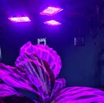 LED kweeklamp - 108 LED - Rood/blauw - Verstelbaar, Ophalen of Verzenden, Nieuw