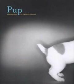 PUP                 GEB - DEBORAH SAMUEL 9780811833622, Verzenden, Zo goed als nieuw, DEBORAH SAMUEL