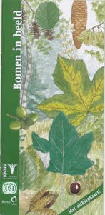 Bomen in beeld / In beeld / 11 9789050111881 F. Bos, Boeken, Verzenden, Gelezen, F. Bos