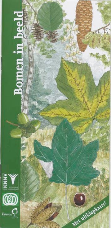Bomen in beeld / In beeld / 11 9789050111881 F. Bos, Boeken, Verzenden, Gelezen, F. Bos
