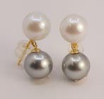 Oorbellen - 18 karaat Geel goud, Silvery Tahiti en White, Sieraden, Tassen en Uiterlijk, Nieuw
