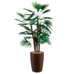 Rhapis Palm kunstplant, H150cm, Huis en Inrichting, Kamerplanten, Ophalen of Verzenden, Palm, 150 tot 200 cm