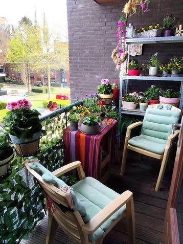Te huur: Appartement Rooijsestraat in Uden, Noord-Brabant, Appartement, Uden
