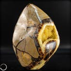 Natuurlijke septariën vrije vorm met druse – zeldzame