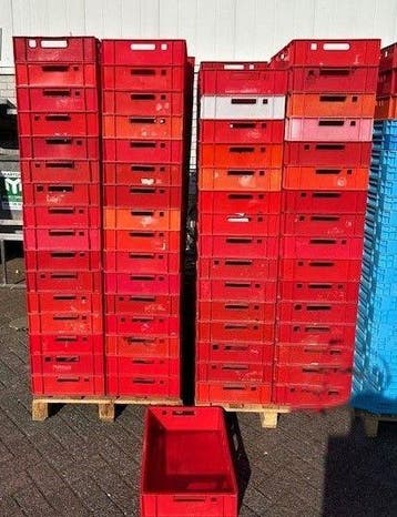 Kratten, Vleeskratten, Kisten, B60 x D40 x H13cm, Gebruikt