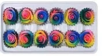 Geconserveerde rozen Geprepareerd Regenboog doos 8 stuks, Ophalen of Verzenden, Nieuw