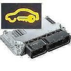 Vw Audi Seat Skoda IAW 4mv, startblokkering verwijderen ecu, Nieuw, Skoda