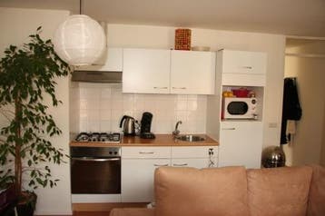 Te Huur 2 Kamer Appartement Victor van Vrieslandstraat In Ha, Direct bij eigenaar, Noord-Holland, Appartement, Haarlem