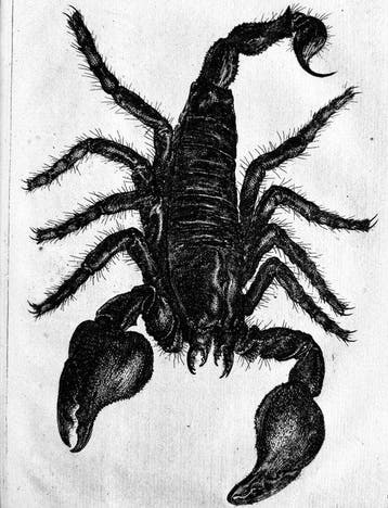 Jan Swammerdam - Histoire Generale des Insectes - 1682, Antiek en Kunst