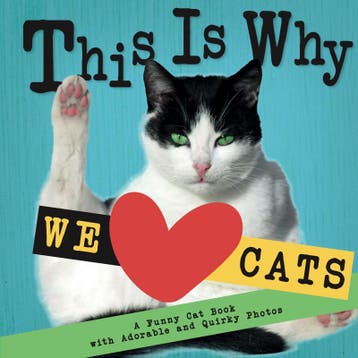 This Is Why We Love Cats | Emily Johnson | Nieuw, Ophalen of Verzenden, Nieuw, Emily Johnson