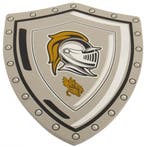 Ridder schild voor kinderen - Zwaarden, Ophalen of Verzenden, Nieuw