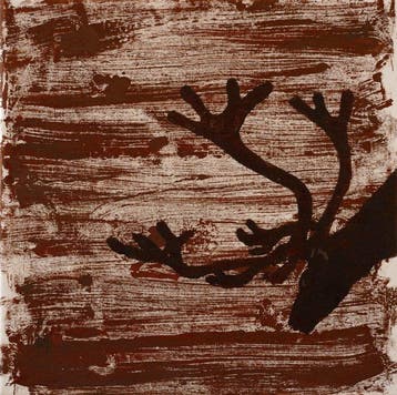 Matthieu van Riel - Reindeer