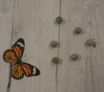 5x mosgroen glaskraal 6mm (Groene glaskralen, Glaskralen), Hobby en Vrije tijd, Ophalen of Verzenden, Nieuw, Kraal