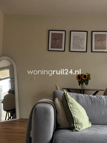 Woningruil - Zuringes 69 - 1 kamer en Drenthe, Drenthe