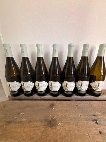 2019 Jermann, Capo Martino - Friuli-Venezia Giulia - 7, Nieuw