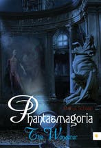 The wonderer / Phantasmagoria 9789048424412 Mathijs Schaap, Verzenden, Gelezen, Mathijs Schaap