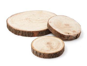 Boomstamschijf Pauwlonia ca. 13 cm per stuk, Ophalen of Verzenden, Nieuw