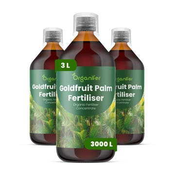 Goldfruit Palm vloeibare meststof - Set 3x1 liter, Verzenden, Mest