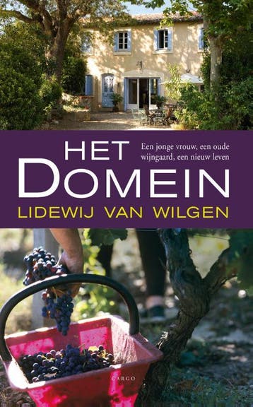 Het domein - Lidewij van Wilgen 9789023493426, Verzenden, Gelezen, Lidewij van Wilgen