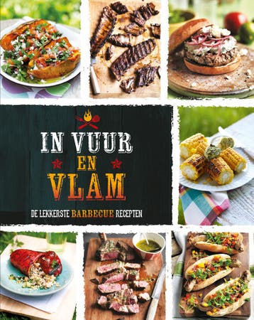 Boek: In vuur en vlam - (als nieuw), Boeken, Verzenden, Zo goed als nieuw