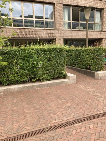Te huur: Appartement Hammarbystraat in Amsterdam, Noord-Holland, Appartement, Amsterdam