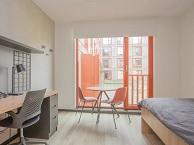 Studio Duboisdomein in Maastricht, Overige soorten, Limburg