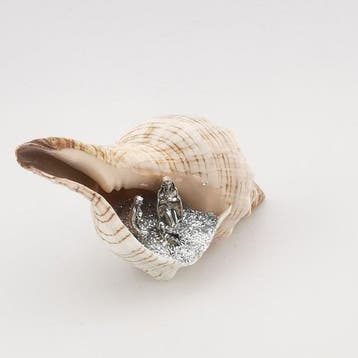 Kerststal - Schelp - fasciolaria trapezium