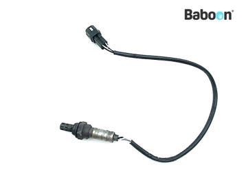 Lambda Sonde KTM 990 Adventure S 2006-2008, Verzenden, Gebruikt