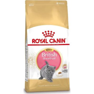 Royal Canin British Shorthair Kitten 10 kg (Kattenvoer), Verzenden, Kat