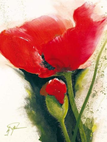 Kunstdruk Gerd Pflumm - Faszination Mohn II 60x80cm, Verzenden, Nieuw