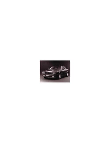 1991 MASERATI RACING PERSFOTO, Nieuw, Author