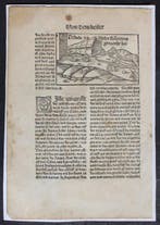 Holzschnitt, Hans Grüninger Strassburg - 1530, Antiek en Kunst, Antiek | Boeken en Bijbels