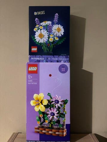 Lego Set - Botanical Collection - Daisies; Flower Trellis, Kinderen en Baby's, Speelgoed | Duplo en Lego, Nieuw