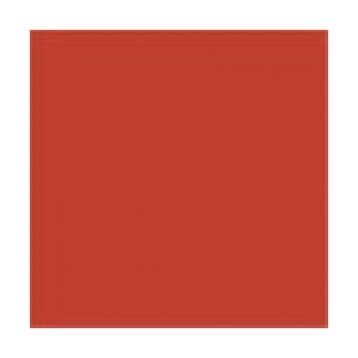 Koraal Rood glans 500 gram Poedercoat poeder (RESTAURATIE), Verzenden, Nieuw