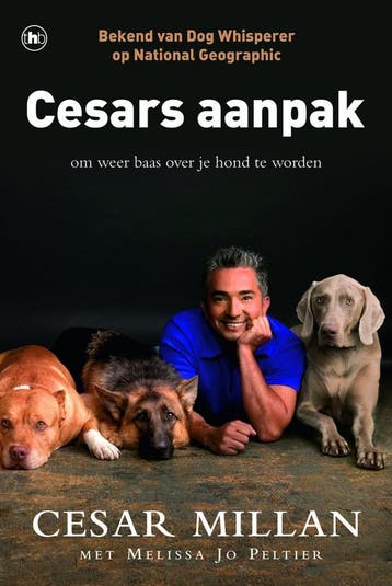 Cesars aanpak - Cesar Millan 9789044331202, Verzenden, Gelezen, Cesar Millan