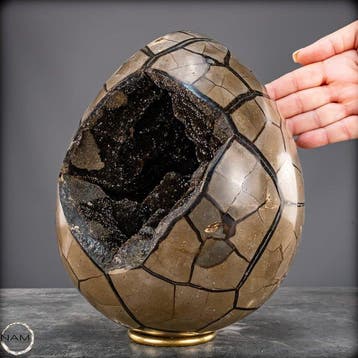 Zeer decoratieve septarian Druse, met calcietkristallen-