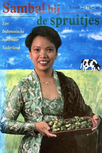 SAMBAL BIJ DE SPRUITJES (2E DR) - N. Tri Heryati, Verzenden, Zo goed als nieuw, N. Tri Heryati
