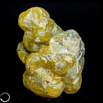 Gele diamant – Een buitengewoon natuurstuk vol schittering,