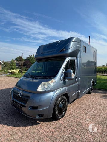 Nieuwstaat Citroën paardenwagen, opbouw 2023!, Dieren en Toebehoren, Ophalen, Zo goed als nieuw, Polyester, 2-paards trailer