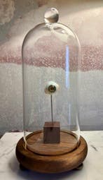 Prothese (2) - Prothese wonderkamer