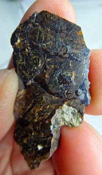 Tin Begane 001 Pallasietmeteoriet - 3.86 g