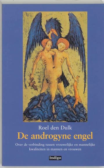 ANDROGYNE ENGEL 9789060381786 R. den Dulk, Boeken, Verzenden, Zo goed als nieuw, R. den Dulk