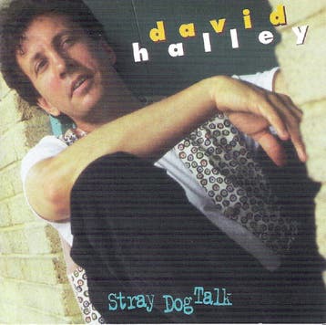 cd - David Halley - Stray Dog Talk, Verzenden, Zo goed als nieuw