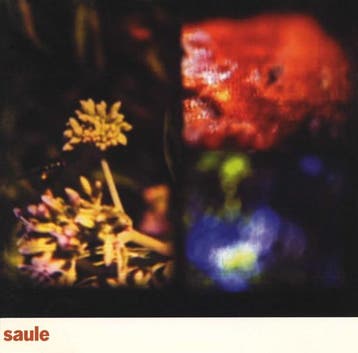 cd - Saule - Saule, Verzenden, Zo goed als nieuw