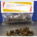 Hoorn des Overvloeds - Globetrotter